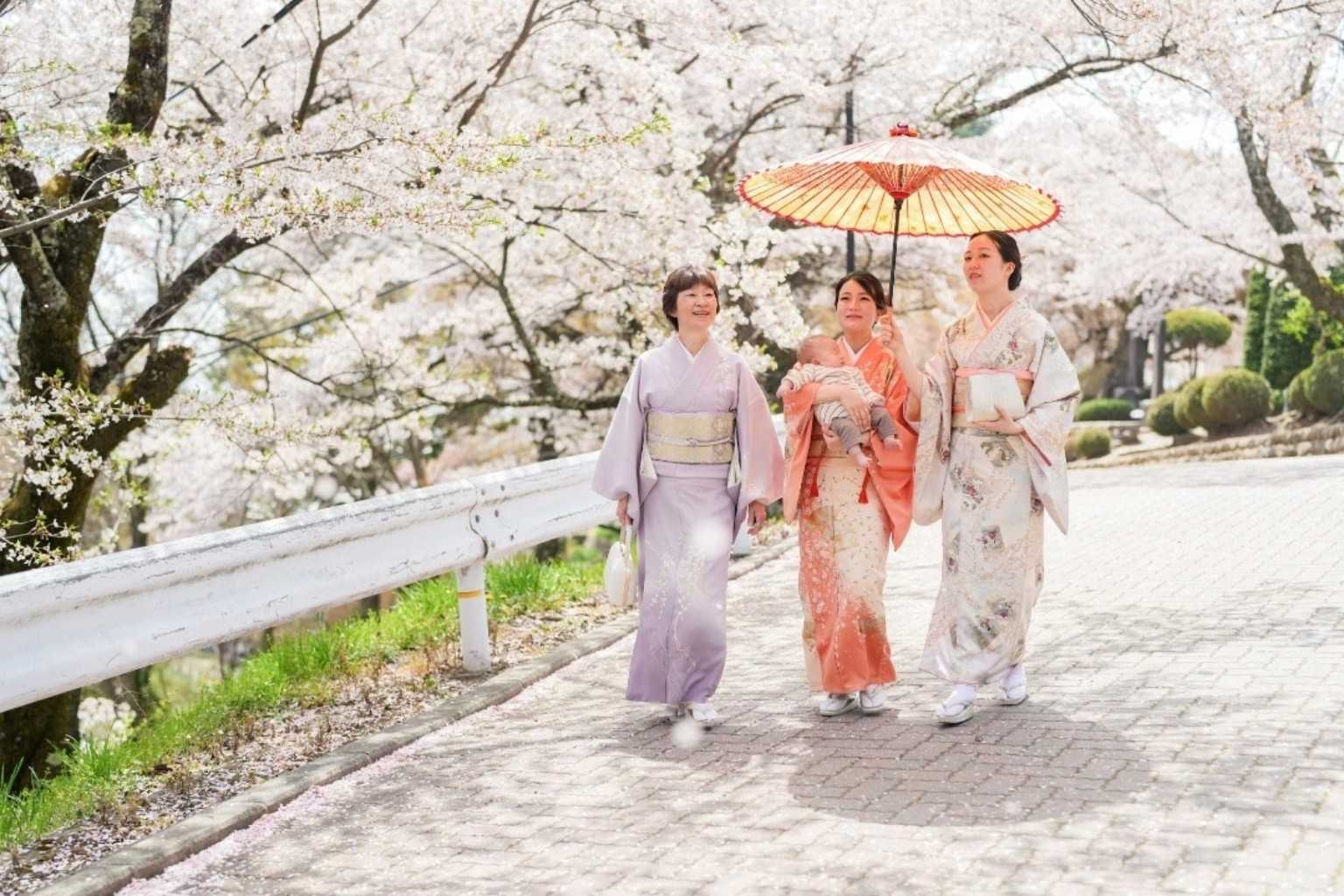 Japan During Cherry Blossom Season: Is It Worth the Hype?