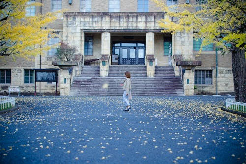 Japan’s University Funding Formula May Need to Account for Inflation and Personnel Costs