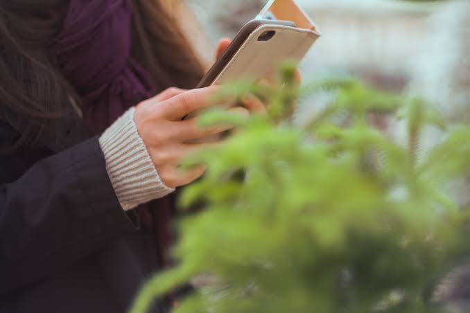 California's Phone-Free School Policy Takes Effect: What It Means for Students and Educators