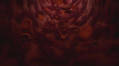 MIT Engineers Precisely Control the Growth of Artificial Blood Vessels