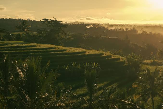 Bali’s Visa Crackdown Shows Digital Nomads Cannot Treat Tourist Visas Like Work Permits