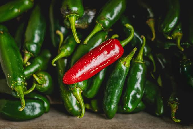 OpenAI Develops Custom “Jalapeño” AI Chip to Power Future AI Systems