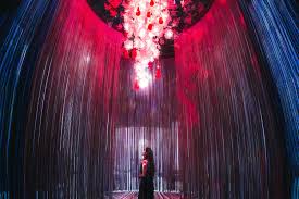 How to Visit teamLab Borderless Tokyo in 2026: Tickets, Hours, Access, and a Smart Half-Day Plan