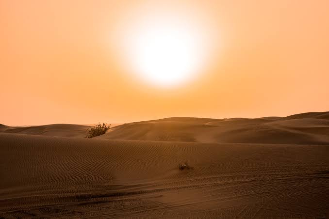 New Health Research Links Extreme Heat to Youth Mental Health Hospital Admissions