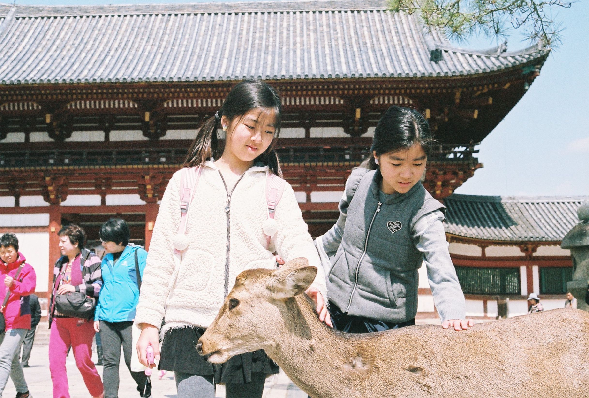 Nara With Kids: The Calm, Respectful Day Trip From Osaka or Kyoto